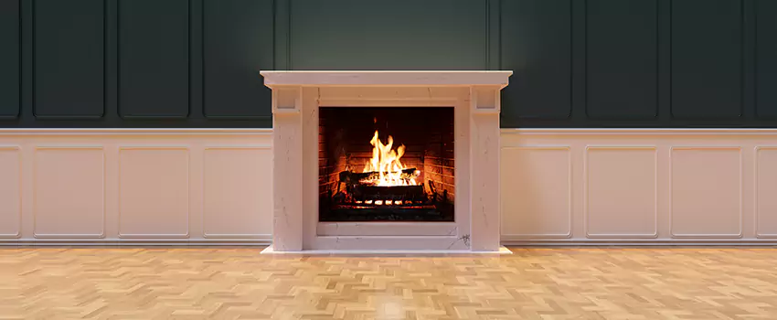 Napoleon Electric Fireplaces Inspection Service in Meadow Woods, Florida