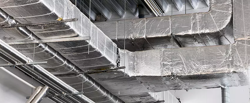 Vent Dust Cleaning Cost in Meadow Woods, FL