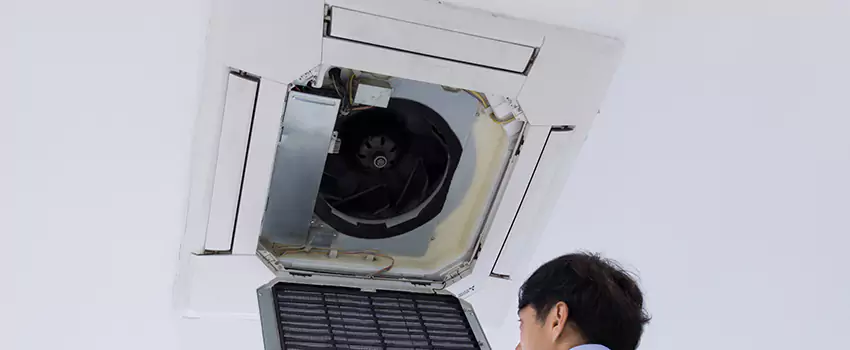Benefits of Professional Air Duct Cleaning in Meadow Woods, Florida