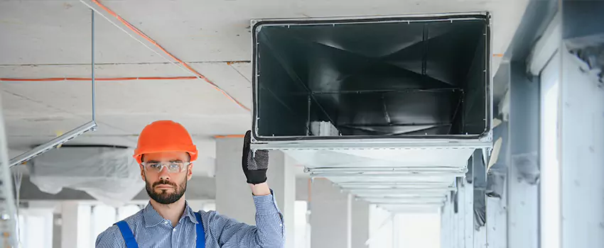 Clogged Air Duct Cleaning and Sanitizing in Meadow Woods, FL