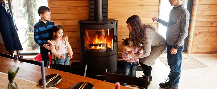 Jøtul Gas Fireplace Inspection Service in Meadow Woods, Florida
