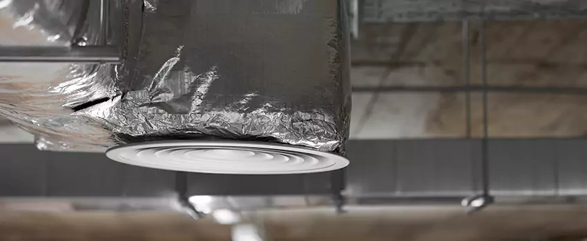 Signs of Dust Accumulation in Vents in Meadow Woods, FL