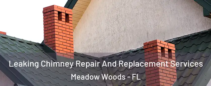  Leaking Chimney Repair And Replacement Services Meadow Woods - FL