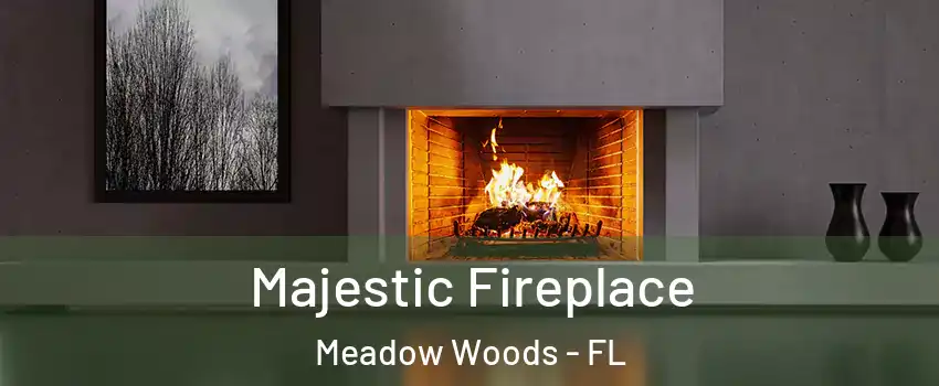  Majestic Fireplace Meadow Woods - FL