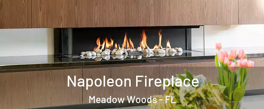  Napoleon Fireplace Meadow Woods - FL
