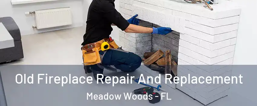  Old Fireplace Repair And Replacement Meadow Woods - FL