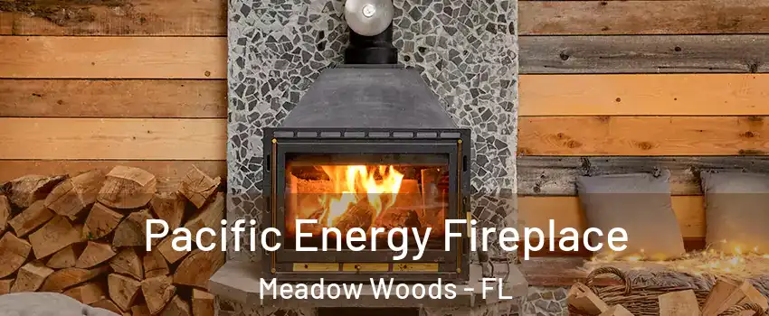  Pacific Energy Fireplace Meadow Woods - FL