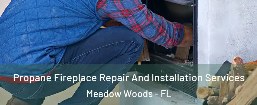  Propane Fireplace Repair And Installation Services Meadow Woods - FL