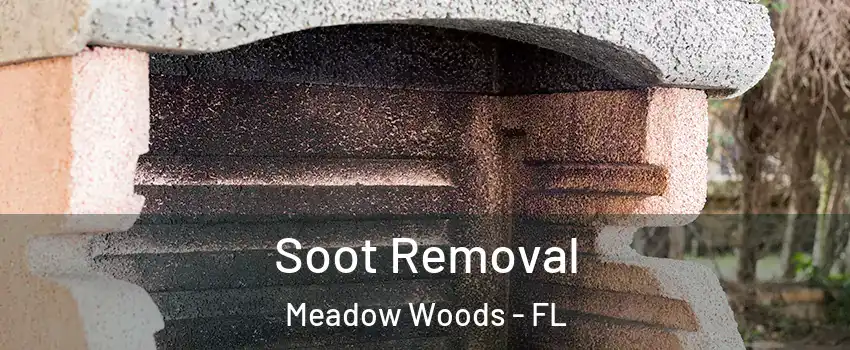  Soot Removal Meadow Woods - FL