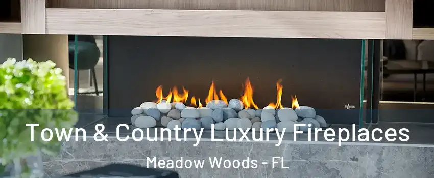  Town & Country Luxury Fireplaces Meadow Woods - FL