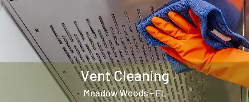  Vent Cleaning Meadow Woods - FL