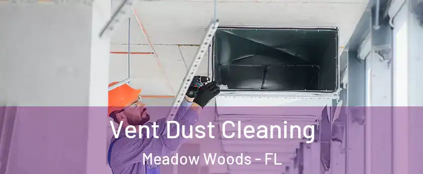  Vent Dust Cleaning Meadow Woods - FL