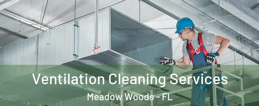  Ventilation Cleaning Services Meadow Woods - FL